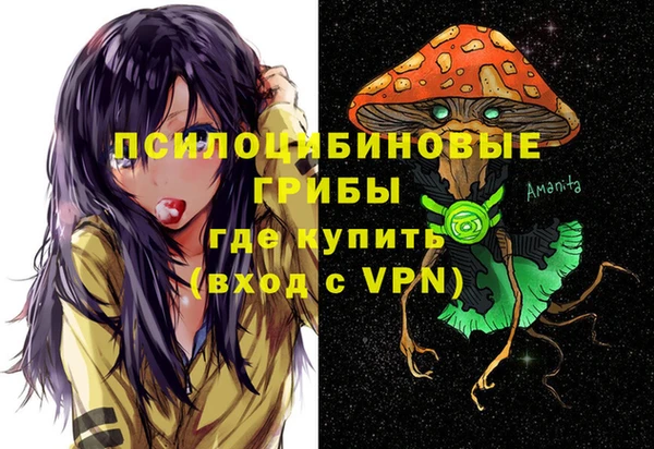 молекула духа Гусиноозёрск