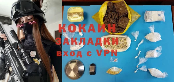 винт Гусь-Хрустальный