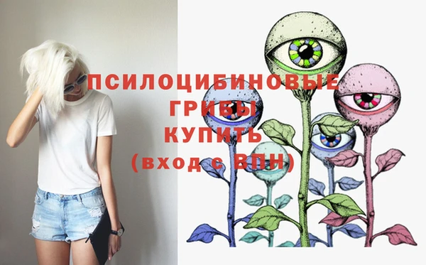 молекула духа Гусиноозёрск