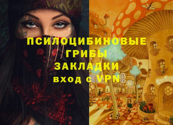 молекула духа Гусиноозёрск
