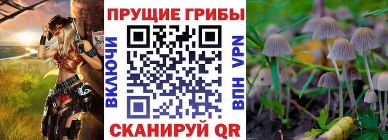 Галлюциногенные грибы ЛСД где найти Евпатория
