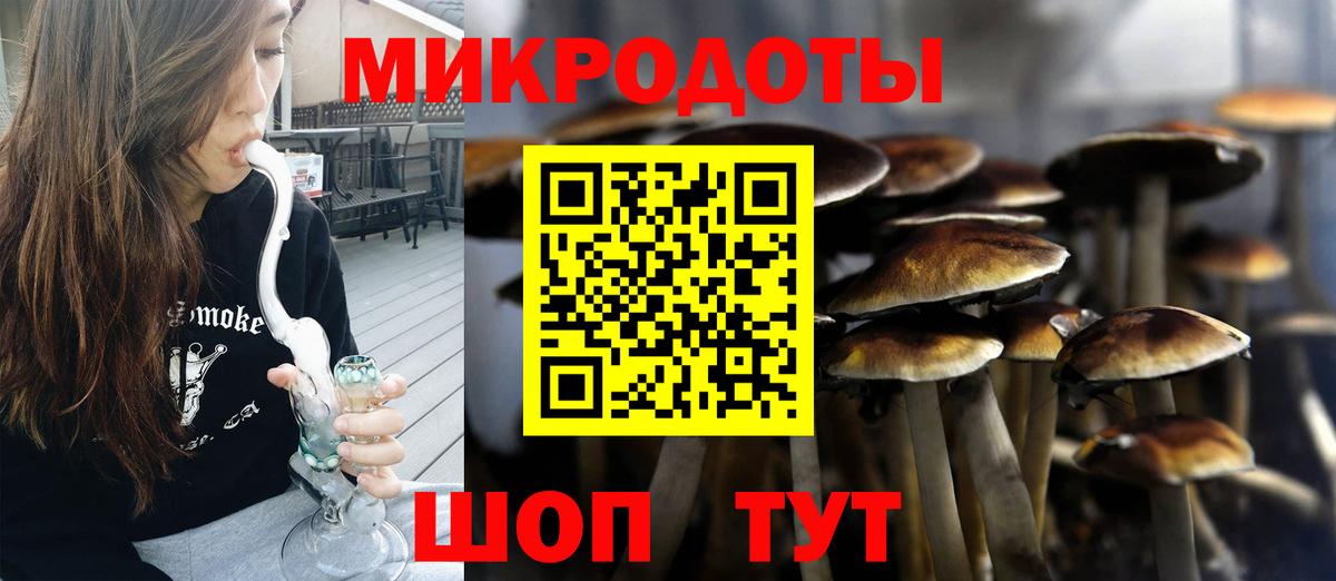 Евпатория  Псилоцибиновые грибы Psilocybe  Псилоцибиновые грибы Cubensis  Вход с VPN 