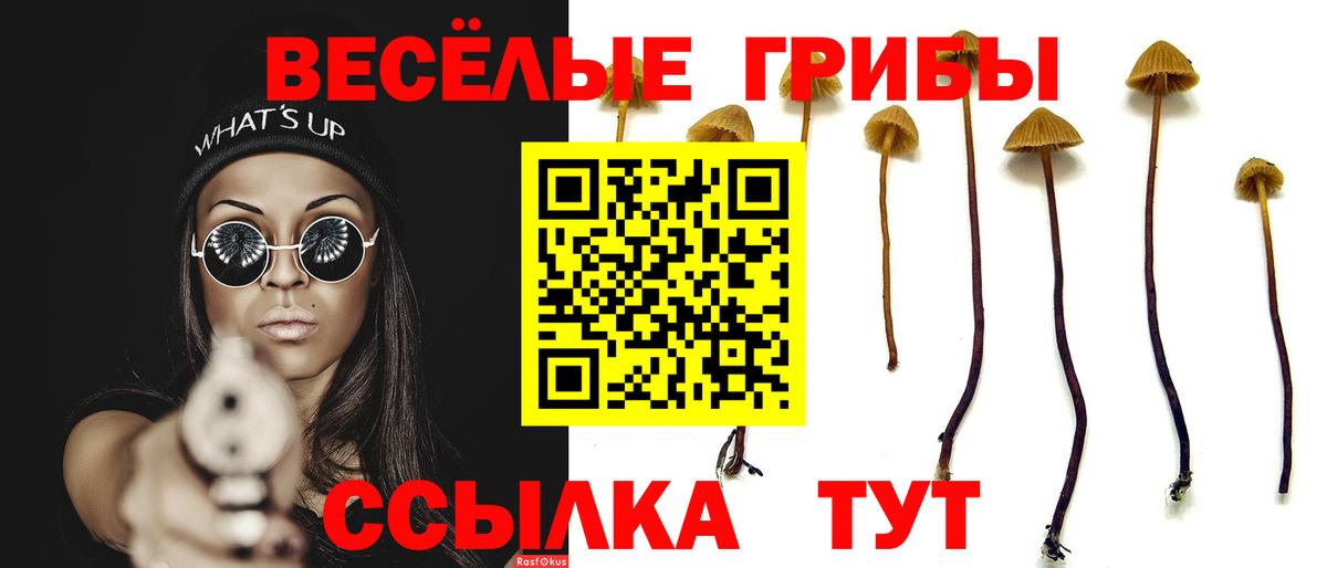 Псилоцибиновые грибы Magic Shrooms Евпатория